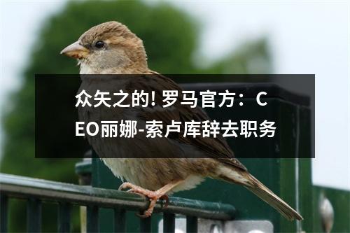 众矢之的! 罗马官方：CEO丽娜-索卢库辞去职务