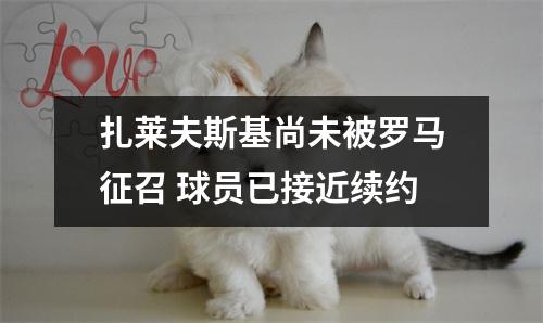 扎莱夫斯基尚未被罗马征召 球员已接近续约