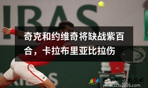 奇克和约维奇将缺战紫百合，卡拉布里亚比拉伤