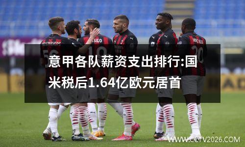 意甲各队薪资支出排行:国米税后1.64亿欧元居首