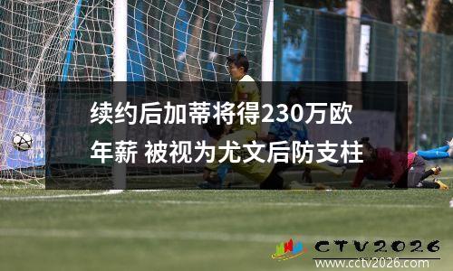 续约后加蒂将得230万欧年薪 被视为尤文后防支柱