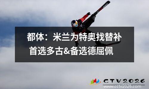都体：米兰为特奥找替补 首选多古&备选德屈佩