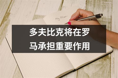 多夫比克将在罗马承担重要作用