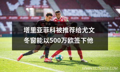 塔里亚菲科被推荐给尤文 冬窗能以500万欧签下他