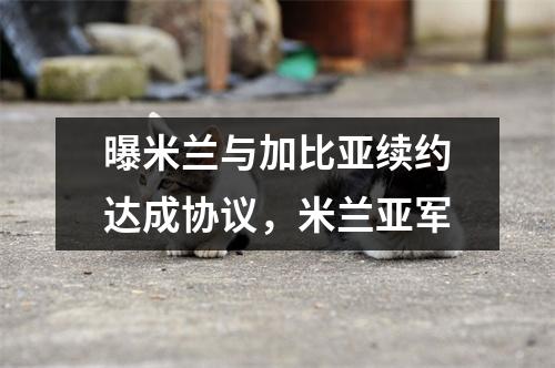 曝米兰与加比亚续约达成协议，米兰亚军