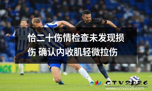 恰二十伤情检查未发现损伤 确认内收肌轻微拉伤