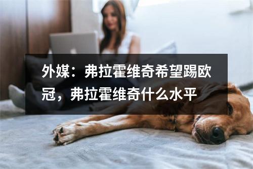 外媒：弗拉霍维奇希望踢欧冠，弗拉霍维奇什么水平