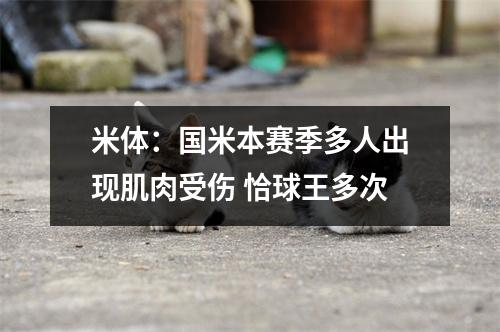 米体：国米本赛季多人出现肌肉受伤 恰球王多次