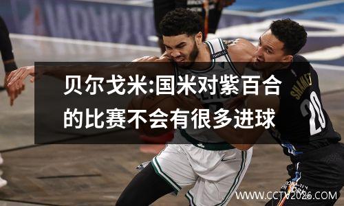 贝尔戈米:国米对紫百合的比赛不会有很多进球