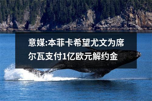 意媒:本菲卡希望尤文为席尔瓦支付1亿欧元解约金