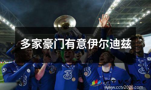 多家豪门有意伊尔迪兹