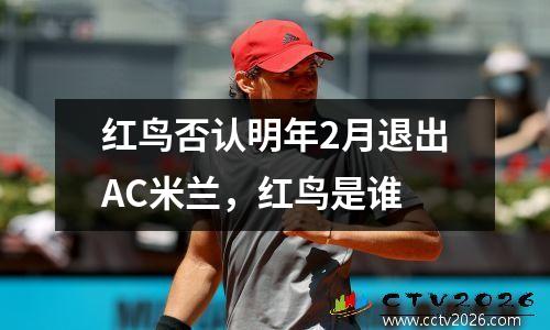 红鸟否认明年2月退出AC米兰，红鸟是谁