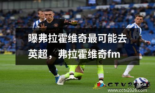 曝弗拉霍维奇最可能去英超，弗拉霍维奇fm