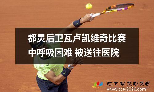 都灵后卫瓦卢凯维奇比赛中呼吸困难 被送往医院