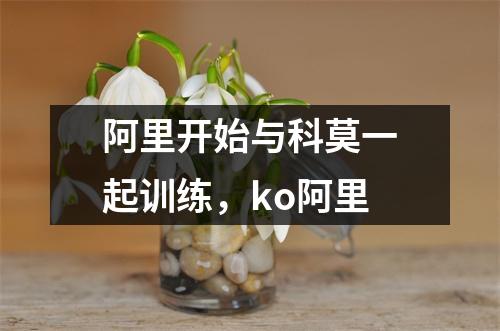 阿里开始与科莫一起训练，ko阿里