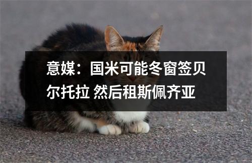 意媒：国米可能冬窗签贝尔托拉 然后租斯佩齐亚