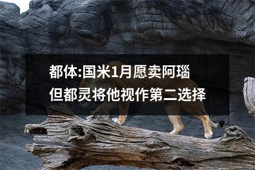 都体:国米1月愿卖阿瑙 但都灵将他视作第二选择
