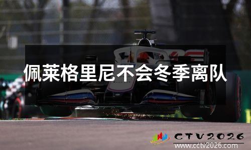 佩莱格里尼不会冬季离队