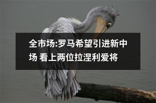 全市场:罗马希望引进新中场 看上两位拉涅利爱将