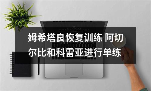 姆希塔良恢复训练 阿切尔比和科雷亚进行单练