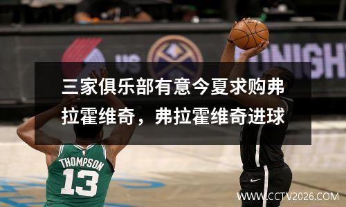 三家俱乐部有意今夏求购弗拉霍维奇，弗拉霍维奇进球
