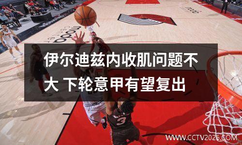 伊尔迪兹内收肌问题不大 下轮意甲有望复出