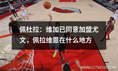 佩杜拉：维加已同意加盟尤文，佩拉维恩在什么地方