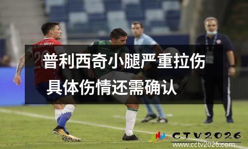 普利西奇小腿严重拉伤 具体伤情还需确认