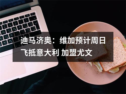 迪马济奥：维加预计周日飞抵意大利 加盟尤文