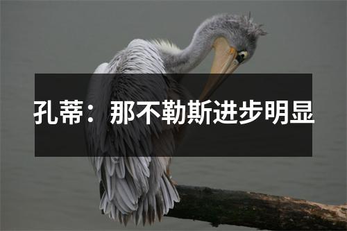 孔蒂：那不勒斯进步明显