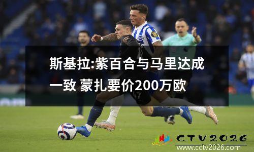 斯基拉:紫百合与马里达成一致 蒙扎要价200万欧