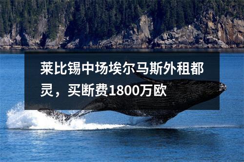 莱比锡中场埃尔马斯外租都灵，买断费1800万欧