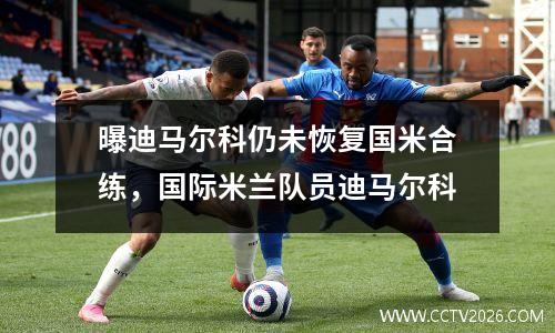 曝迪马尔科仍未恢复国米合练，国际米兰队员迪马尔科