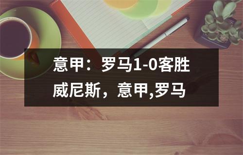 意甲：罗马1-0客胜威尼斯，意甲,罗马