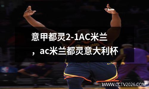 意甲都灵2-1AC米兰，ac米兰都灵意大利杯