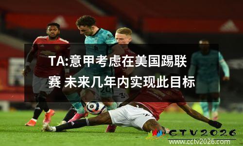 TA:意甲考虑在美国踢联赛 未来几年内实现此目标