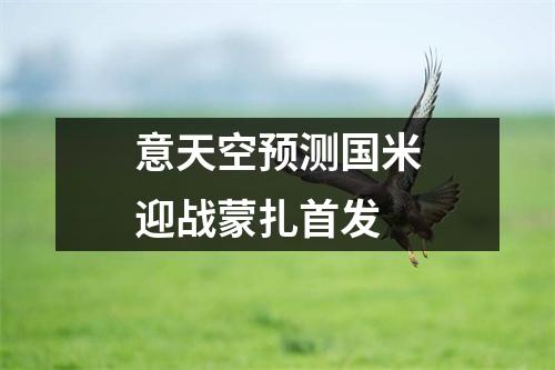 意天空预测国米迎战蒙扎首发