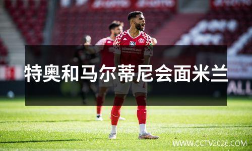 特奥和马尔蒂尼会面米兰