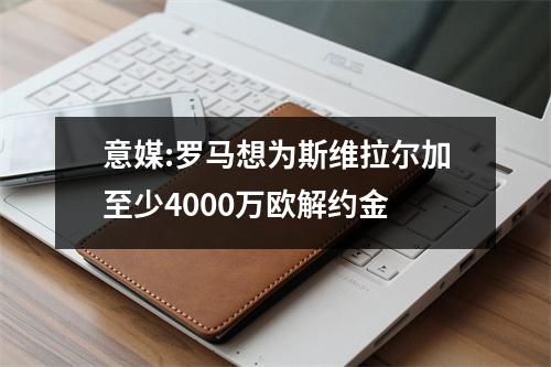 意媒:罗马想为斯维拉尔加至少4000万欧解约金