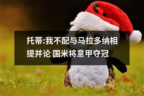 托蒂:我不配与马拉多纳相提并论 国米将意甲夺冠