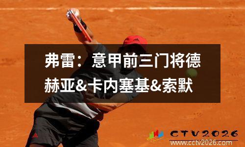 弗雷：意甲前三门将德赫亚&卡内塞基&索默