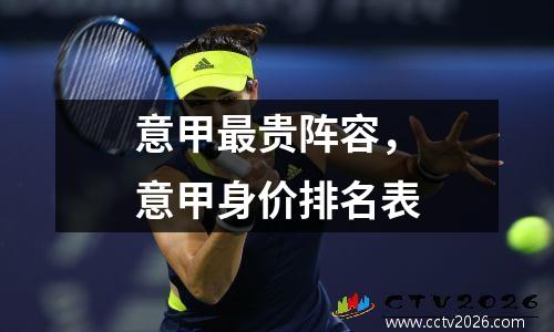 意甲最贵阵容，意甲身价排名表