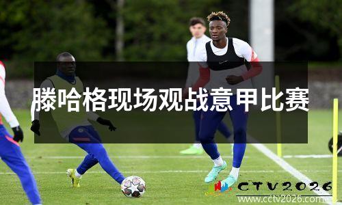 滕哈格现场观战意甲比赛