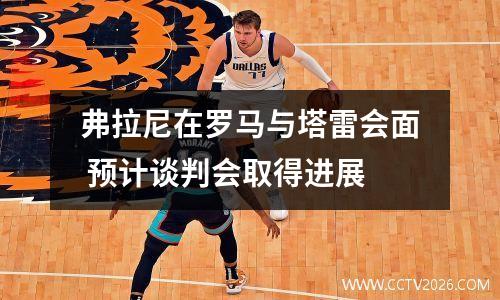 弗拉尼在罗马与塔雷会面 预计谈判会取得进展