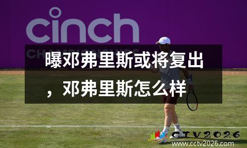 曝邓弗里斯或将复出，邓弗里斯怎么样