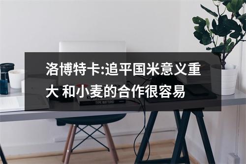 洛博特卡:追平国米意义重大 和小麦的合作很容易