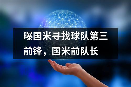 曝国米寻找球队第三前锋，国米前队长