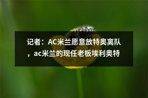 记者：AC米兰愿意放特奥离队，ac米兰的现任老板埃利奥特