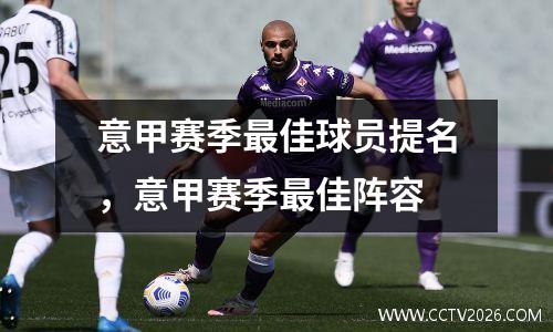 意甲赛季最佳球员提名，意甲赛季最佳阵容