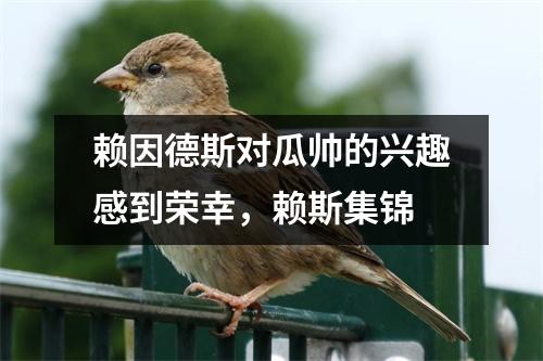 赖因德斯对瓜帅的兴趣感到荣幸，赖斯集锦